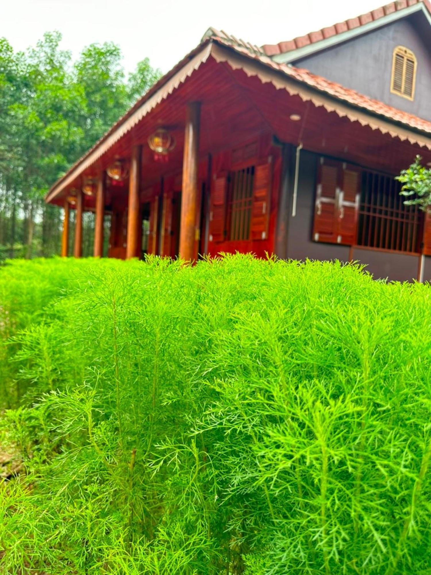 Phong Nha Eco Village Exterior photo